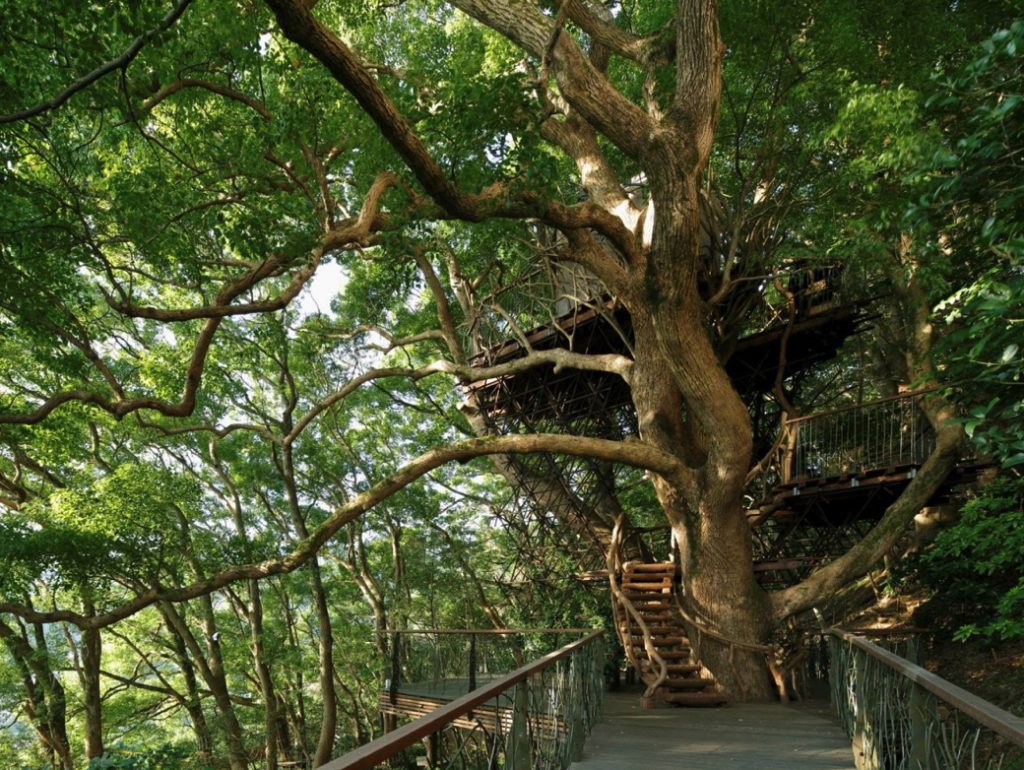 熱海のツリーハウス